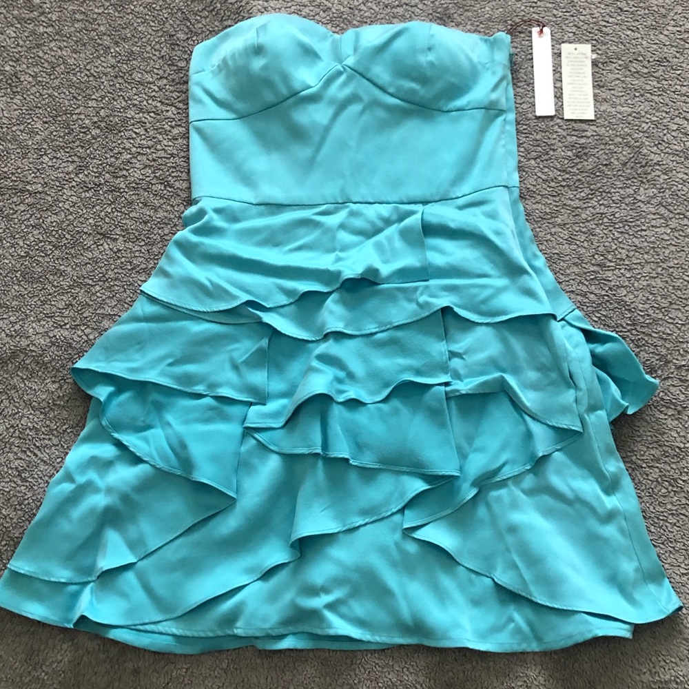 Twelfth Street By Cynthia Vincent Silk Dress